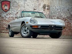 Grigio chiaro Gebraucht 1978 Alfa Romeo Spider Cabrio | 27.500 €