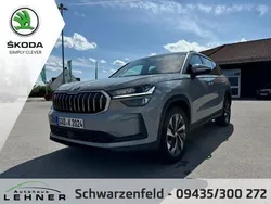 Steelgrau Gebraucht 2024 Skoda Kodiaq Selection SUV | 51.490 € (Etwas zu teuer)