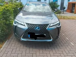 Grau Gebraucht 2019 Lexus UX Executive Line SUV | 24.500 €