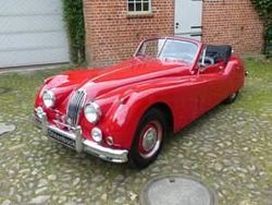 Rot Gebraucht 1956 Jaguar XK Cabrio | 117.000 €