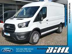 Frostweiß Neu 2024 Ford Transit Trend Van / Kleinbus | 41.519 €