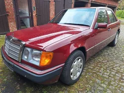 Rot Gebraucht 1991 Mercedes E230 Limousine | 4.990 €