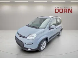 Moda grau Neu 2024 Fiat Panda Style Kleinwagen | 13.990 €