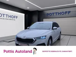 Weiss Gebraucht 2023 Skoda Octavia Style Kombi | 28.222 € (Guter Preis)