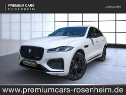 Weiss Gebraucht 2024 Jaguar F-Pace R-Dynamic SUV | 51.800 € (Teuer)