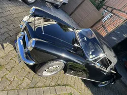 Schwarz Gebraucht 1964 Alfa Romeo Giulia Spider Cabrio | 78.000 €