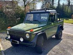 Grün Gebraucht 1991 Mercedes G250 SUV | 44.900 €