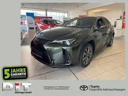 Norigrün Neu 2025 Lexus UX 300h Sport Design Packet SUV | 38.690 € (Guter Preis)