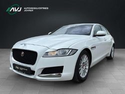 Weiß Gebraucht 2016 Jaguar XF Pure Limousine | 14.890 € (Fairer Preis)