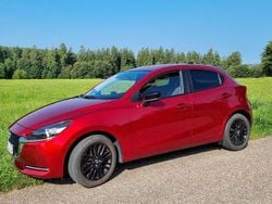 Rot Gebraucht 2022 Mazda 2 Homura-Line Kleinwagen | 13.900 € (Superpreis)