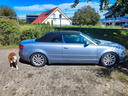 Silber Gebraucht 2006 Audi A4 Cabriolet Ambiente Cabrio | 1.500 € (Superpreis)