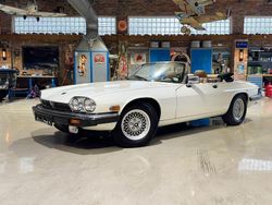 Weiß Gebraucht 1989 Jaguar XJS Coupé | 34.900 €