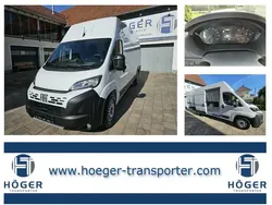 Weiß Neu 2025 Fiat Ducato Van | 36.033 € (Etwas zu teuer)