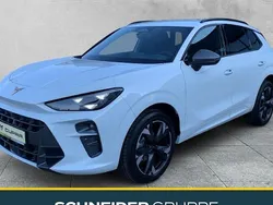 Weiß Gebraucht 2025 Cupra Terramar SUV | 40.450 € (Fairer Preis)