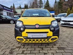 Colore esterno Gebraucht 2020 Fiat Panda Cross Cross Kleinwagen | 10.400 € (Fairer Preis)