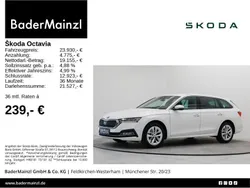 Weiß Gebraucht 2023 Skoda Octavia Style Kombi | 22.960 € (Guter Preis)