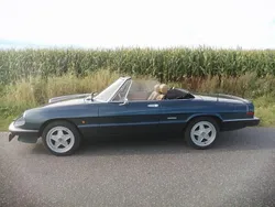 Blau Gebraucht 1988 Alfa Romeo Spider Cabrio | 16.900 €