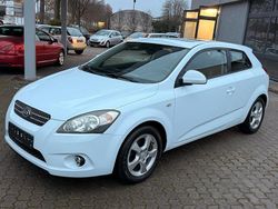 Weiß Gebraucht 2008 Kia Ceed Kleinwagen | 4.800 € (Teuer)