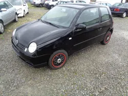 Schwarz Gebraucht 2004 VW Lupo Kleinwagen | 1.500 € (Fairer Preis)
