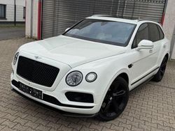 Weiß Gebraucht 2019 Bentley Bentayga SUV | 116.750 € (Teuer)