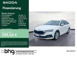 Weiss Gebraucht 2023 Skoda Octavia | 26.630 € (Guter Preis)