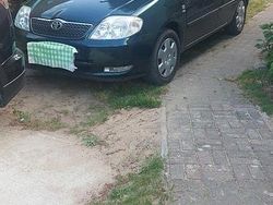 Grün Gebraucht 2002 Toyota Corolla Sol Limousine | 4.000 € (Etwas zu teuer)