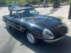 Schwarz Gebraucht 1979 Alfa Romeo Spider Veloce Cabrio | 10.000 €