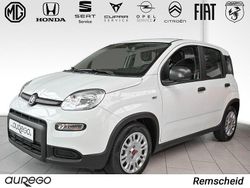 Weiss Gebraucht 2024 Fiat Panda Kleinwagen | 12.690 € (Superpreis)