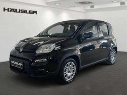 Cinema schwarz Gebraucht 2024 Fiat Panda Kleinwagen | 13.990 € (Fairer Preis)