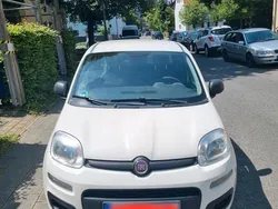 Weiß Gebraucht 2012 Fiat Panda Kleinwagen | 2.800 € (Etwas zu teuer)