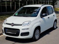 Weiß Gebraucht 2013 Fiat Panda Kleinwagen | 5.000 € (Fairer Preis)