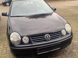Schwarz Gebraucht 2003 VW Polo Kleinwagen | 1.100 € (Guter Preis)