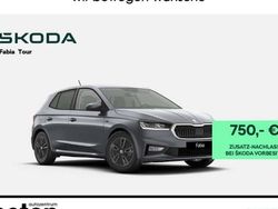 Moonweiss metallic Neu 2025 Skoda Fabia Tour Kleinwagen | 25.550 € (Etwas zu teuer)