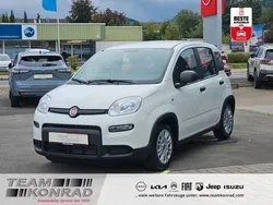 Weiss Neu 2024 Fiat Panda Kleinwagen | 13.950 € (Guter Preis)