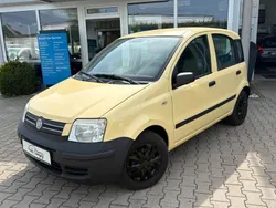 Gelb Gebraucht 2009 Fiat Panda Dynamic Kleinwagen | 3.490 € (Etwas zu teuer)