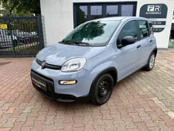 Grau Gebraucht 2023 Fiat Panda Kleinwagen | 9.999 € (Guter Preis)