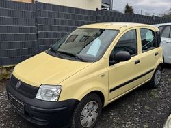 Gelb Gebraucht 2010 Fiat Panda Kleinwagen | 1.890 € (Fairer Preis)