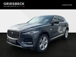 Carpathian grey Gebraucht 2021 Jaguar F-Pace S SUV | 45.880 € (Fairer Preis)