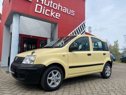 Gelb Gebraucht 2009 Fiat Panda Active Kleinwagen | 3.490 € (Teuer)