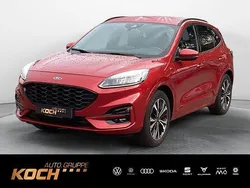 Rot Gebraucht 2020 Ford Kuga ST-Line SUV | 17.990 € (Fairer Preis)