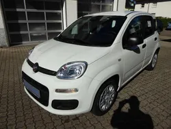 Weiß Neu 2025 Fiat Panda Kleinwagen | 14.490 € (Fairer Preis)