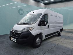 Weiß Gebraucht 2023 Opel Movano Van | 33.199 € (Teuer)