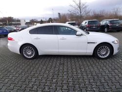 Fuji white Gebraucht 2019 Jaguar XF Pure Limousine | 22.600 € (Etwas zu teuer)
