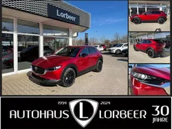 Rot Gebraucht 2024 Mazda CX-30 Homura-Line SUV | 28.790 € (Superpreis)