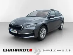 Grau Gebraucht 2024 Skoda Octavia Selection Kombi | 32.650 € (Guter Preis)