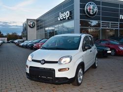 Weiß Gebraucht 2023 Fiat Panda Kleinwagen | 14.490 € (Teuer)