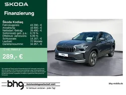 Grau Gebraucht 2024 Skoda Kodiaq Selection SUV | 43.390 € (Guter Preis)