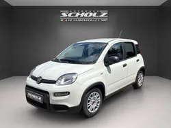 Gelato weiß Neu 2024 Fiat Panda Kleinwagen | 15.490 € (Fairer Preis)