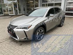 Grau Gebraucht 2023 Lexus UX 250h SUV | 35.890 € (Teuer)