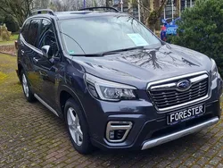 Grau Gebraucht 2019 Subaru Forester Active SUV | 24.900 € (Fairer Preis)